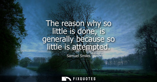 Small: The reason why so little is done, is generally because so little is attempted