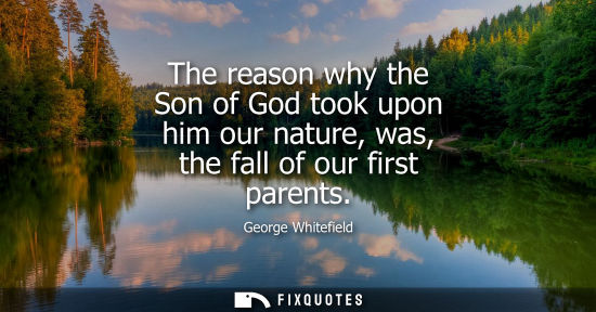 Small: The reason why the Son of God took upon him our nature, was, the fall of our first parents