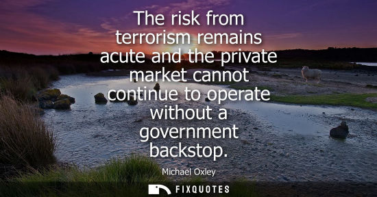 Small: The risk from terrorism remains acute and the private market cannot continue to operate without a gover