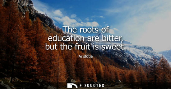 Small: The roots of education are bitter, but the fruit is sweet