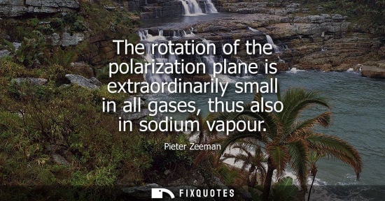 Small: The rotation of the polarization plane is extraordinarily small in all gases, thus also in sodium vapou