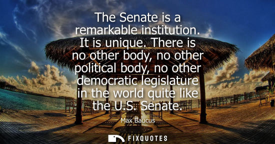 Small: The Senate is a remarkable institution. It is unique. There is no other body, no other political body, 