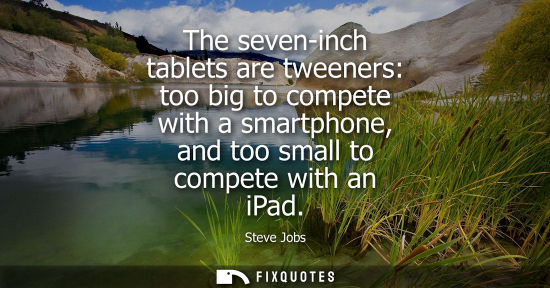 Small: The seven-inch tablets are tweeners: too big to compete with a smartphone, and too small to compete wit