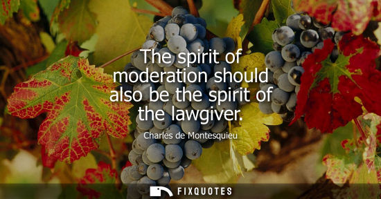 Small: The spirit of moderation should also be the spirit of the lawgiver