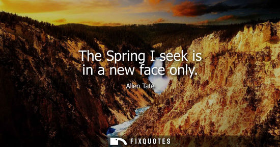 Small: The Spring I seek is in a new face only