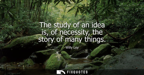 Small: The study of an idea is, of necessity, the story of many things