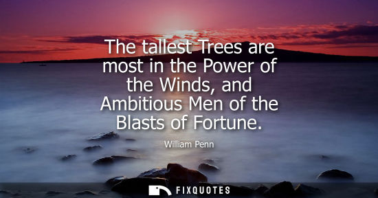 Small: The tallest Trees are most in the Power of the Winds, and Ambitious Men of the Blasts of Fortune