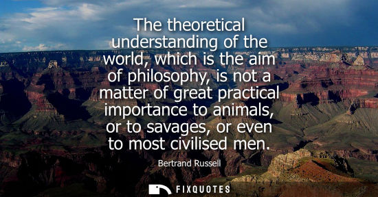Small: The theoretical understanding of the world, which is the aim of philosophy, is not a matter of great practical