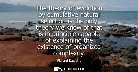 Small: The theory of evolution by cumulative natural selection is the only theory we know of that is in princi