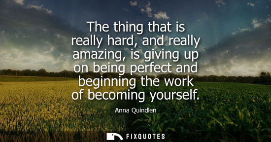 Small: The thing that is really hard, and really amazing, is giving up on being perfect and beginning the work