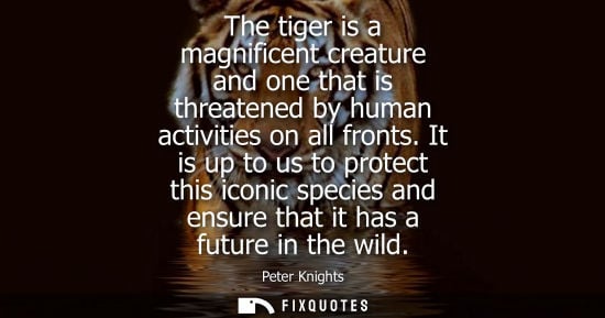 Small: The tiger is a magnificent creature and one that is threatened by human activities on all fronts.