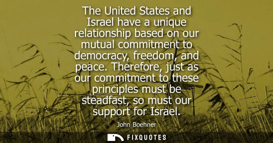 Small: The United States and Israel have a unique relationship based on our mutual commitment to democracy, fr