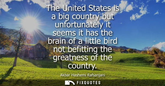 Small: The United States is a big country but unfortunately it seems it has the brain of a little bird not bef