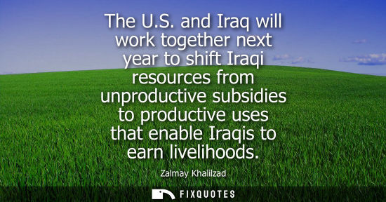 Small: The U.S. and Iraq will work together next year to shift Iraqi resources from unproductive subsidies to product