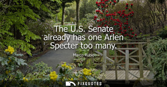 Small: The U.S. Senate already has one Arlen Specter too many