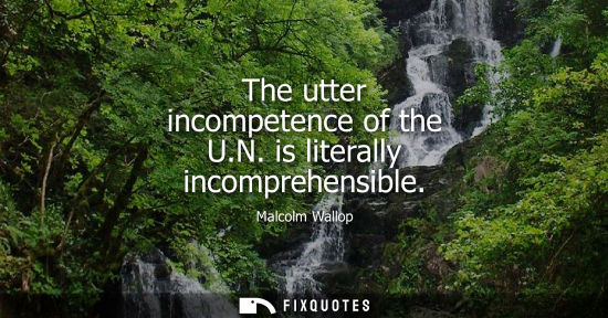 Small: The utter incompetence of the U.N. is literally incomprehensible