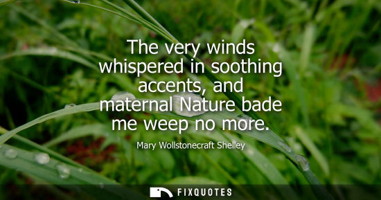 Small: The very winds whispered in soothing accents, and maternal Nature bade me weep no more