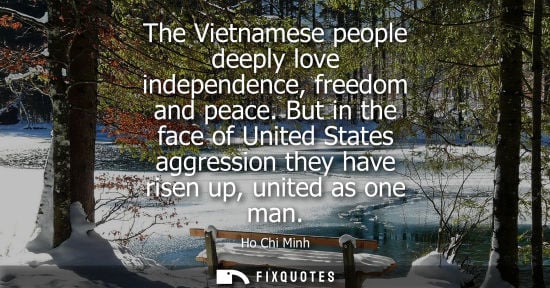 Small: The Vietnamese people deeply love independence, freedom and peace. But in the face of United States agg