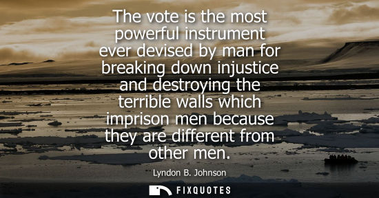 Small: The vote is the most powerful instrument ever devised by man for breaking down injustice and destroying the te
