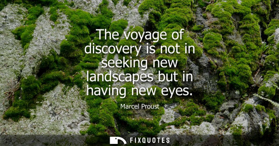 Small: The voyage of discovery is not in seeking new landscapes but in having new eyes