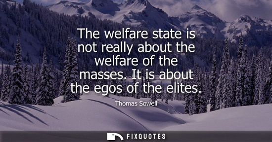 Small: The welfare state is not really about the welfare of the masses. It is about the egos of the elites