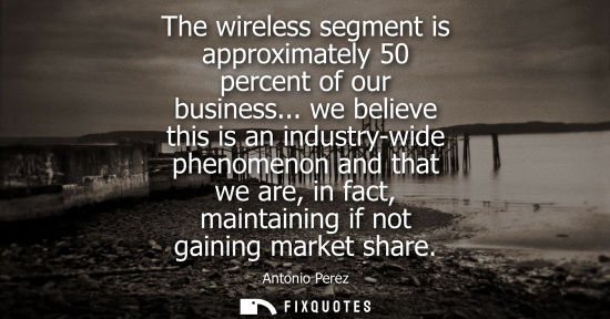 Small: The wireless segment is approximately 50 percent of our business... we believe this is an industry-wide