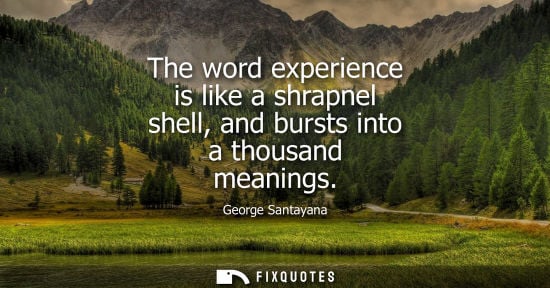 Small: The word experience is like a shrapnel shell, and bursts into a thousand meanings