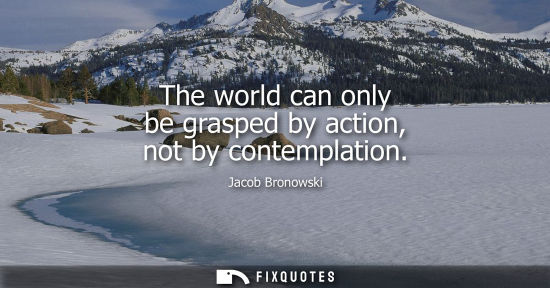 Small: The world can only be grasped by action, not by contemplation