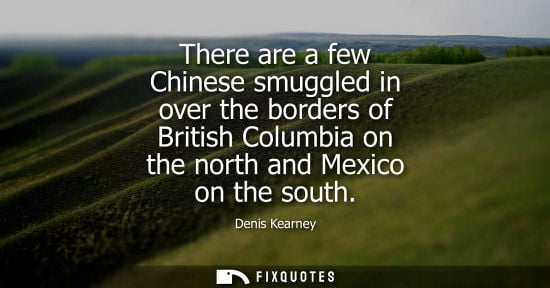 Small: There are a few Chinese smuggled in over the borders of British Columbia on the north and Mexico on the