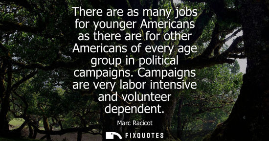 Small: There are as many jobs for younger Americans as there are for other Americans of every age group in pol