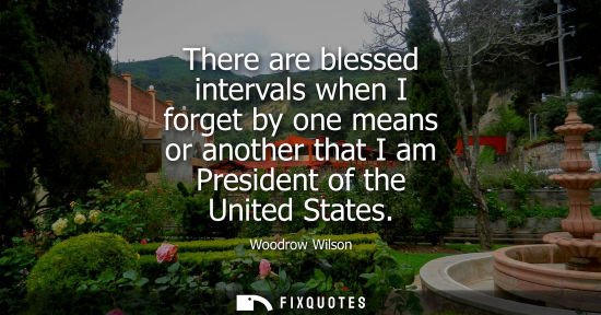 Small: There are blessed intervals when I forget by one means or another that I am President of the United States