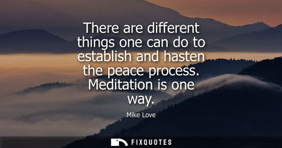 Small: There are different things one can do to establish and hasten the peace process. Meditation is one way