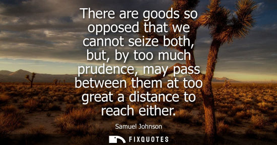 Small: There are goods so opposed that we cannot seize both, but, by too much prudence, may pass between them at too 