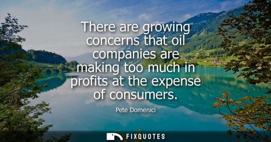 Small: There are growing concerns that oil companies are making too much in profits at the expense of consumer