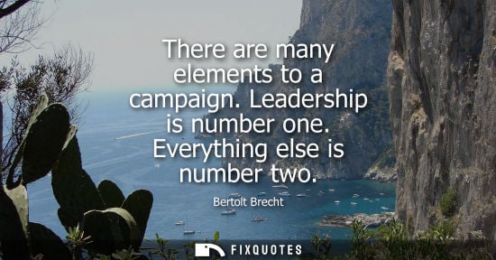 Small: There are many elements to a campaign. Leadership is number one. Everything else is number two