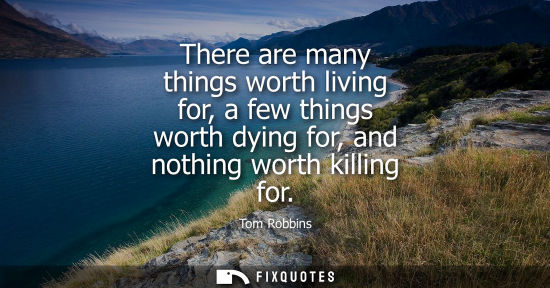 Small: There are many things worth living for, a few things worth dying for, and nothing worth killing for