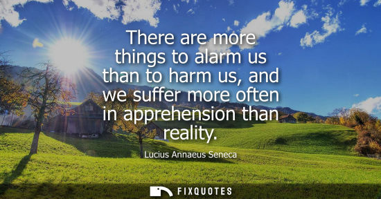 Small: There are more things to alarm us than to harm us, and we suffer more often in apprehension than reality