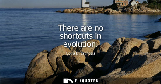 Small: There are no shortcuts in evolution