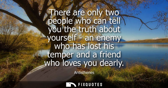 Small: There are only two people who can tell you the truth about yourself - an enemy who has lost his temper 
