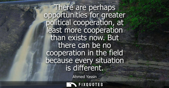 Small: There are perhaps opportunities for greater political cooperation, at least more cooperation than exists now.