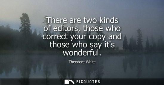 Small: There are two kinds of editors, those who correct your copy and those who say its wonderful