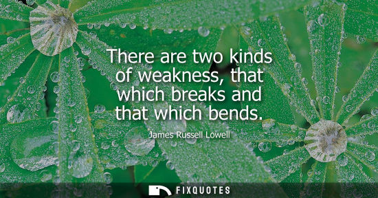 Small: There are two kinds of weakness, that which breaks and that which bends