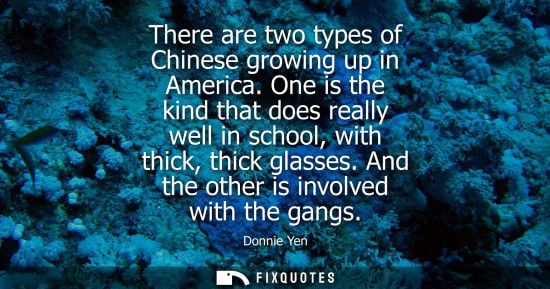 Small: There are two types of Chinese growing up in America. One is the kind that does really well in school, 
