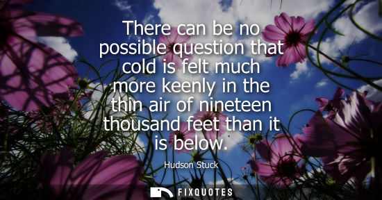 Small: There can be no possible question that cold is felt much more keenly in the thin air of nineteen thousa