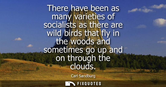 Small: There have been as many varieties of socialists as there are wild birds that fly in the woods and sometimes go