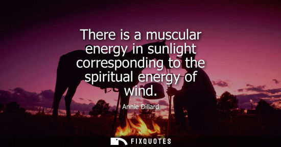 Small: There is a muscular energy in sunlight corresponding to the spiritual energy of wind
