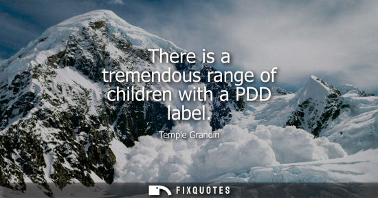 Small: There is a tremendous range of children with a PDD label