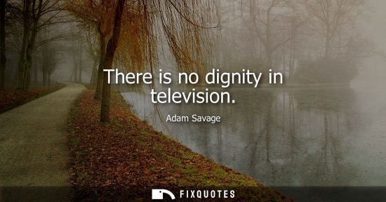 Small: There is no dignity in television