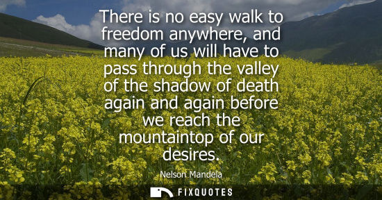 Small: There is no easy walk to freedom anywhere, and many of us will have to pass through the valley of the shadow o