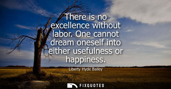 Small: There is no excellence without labor. One cannot dream oneself into either usefulness or happiness